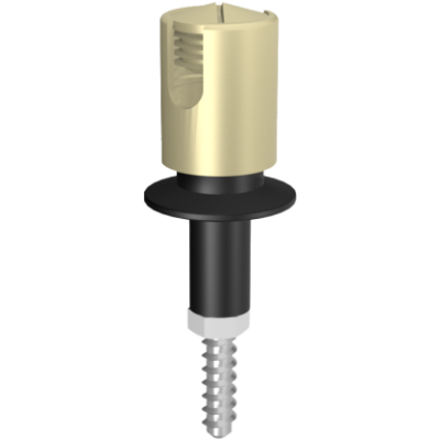 545 | ELFIX™ multiFORM™ OΡΕΙΧ/ΝΟ Μs-Cu ΣΤΗΡΙΓΜΑ ΑΓΩΓΟΥ 16-240mm² M6-M8 ME ΛΑΣΤΙΧΟ+ΒΙΔΑ Ss ΣΤΕΓΑΝΟ 545 | ELFIX™ multiFORM™ OΡΕΙΧ/ΝΟ Μs-Cu ΣΤΗΡΙΓΜΑ ΑΓΩΓΟΥ 16-240mm² M6-M8 ME ΛΑΣΤΙΧΟ+ΒΙΔΑ Ss ΣΤΕΓΑΝΟ