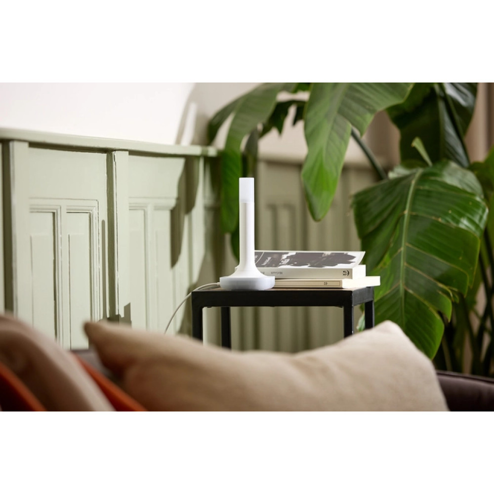 Home Assistant Connect ZBT-2 - EAN860011789741