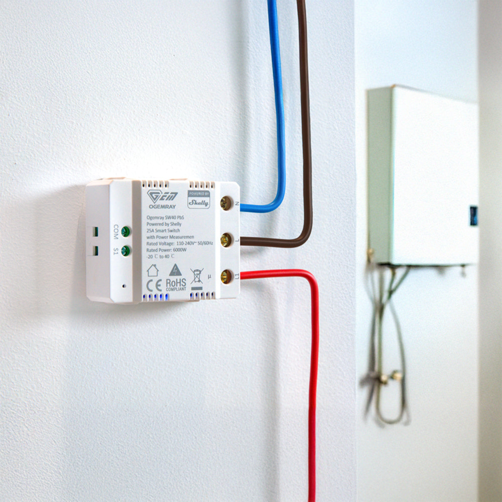 Ogemray Smart relay 25A - EAN 3800238070885