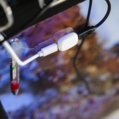 The Pill by Shelly - EAN 3800238073558